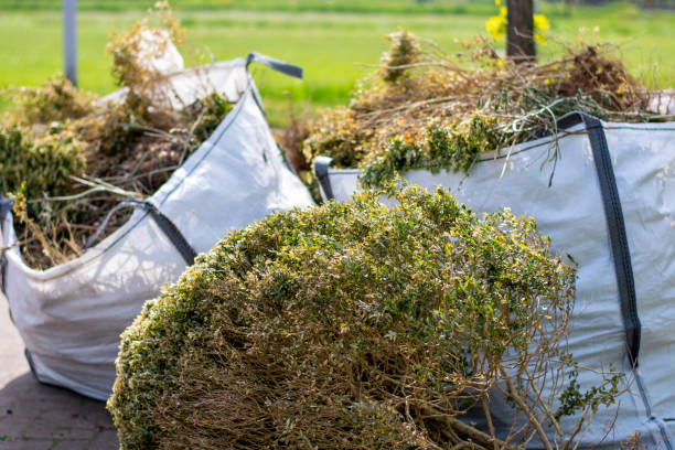 Best Yard Waste Removal  in Collierville, TN